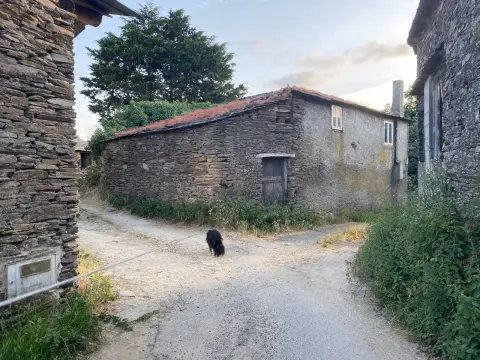 Camino de llegada