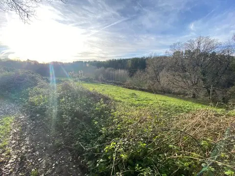 Entorno natural