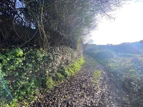 Camino y monte