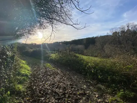 Vistas a la naturaleza