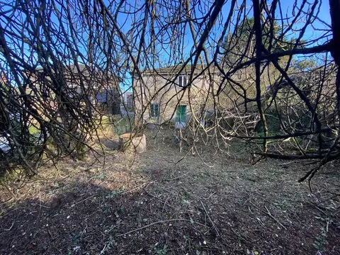 Casa desde el jardín