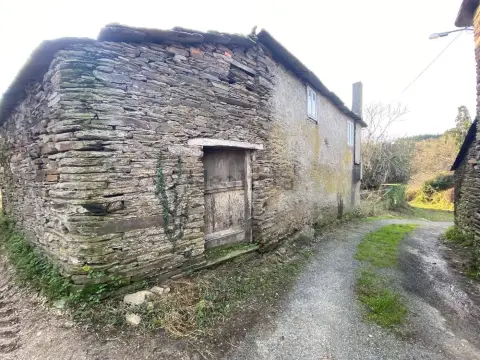 Lateral